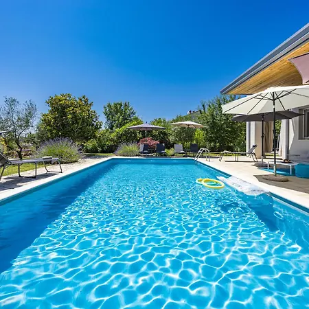 Villa House With Pool Near Rovinj Brajkovići